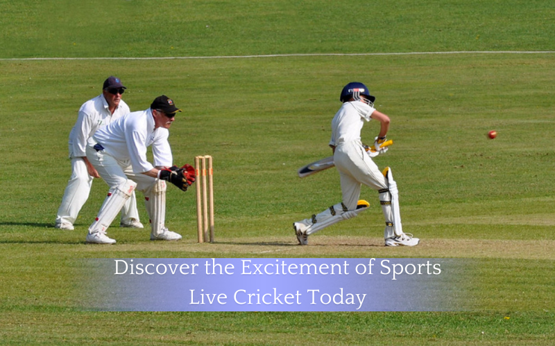 Discover the Excitement of Sports Live Cricket Today