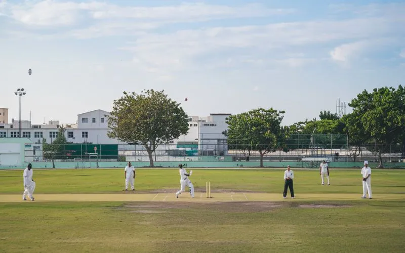 Fantasy cricket leagues body image